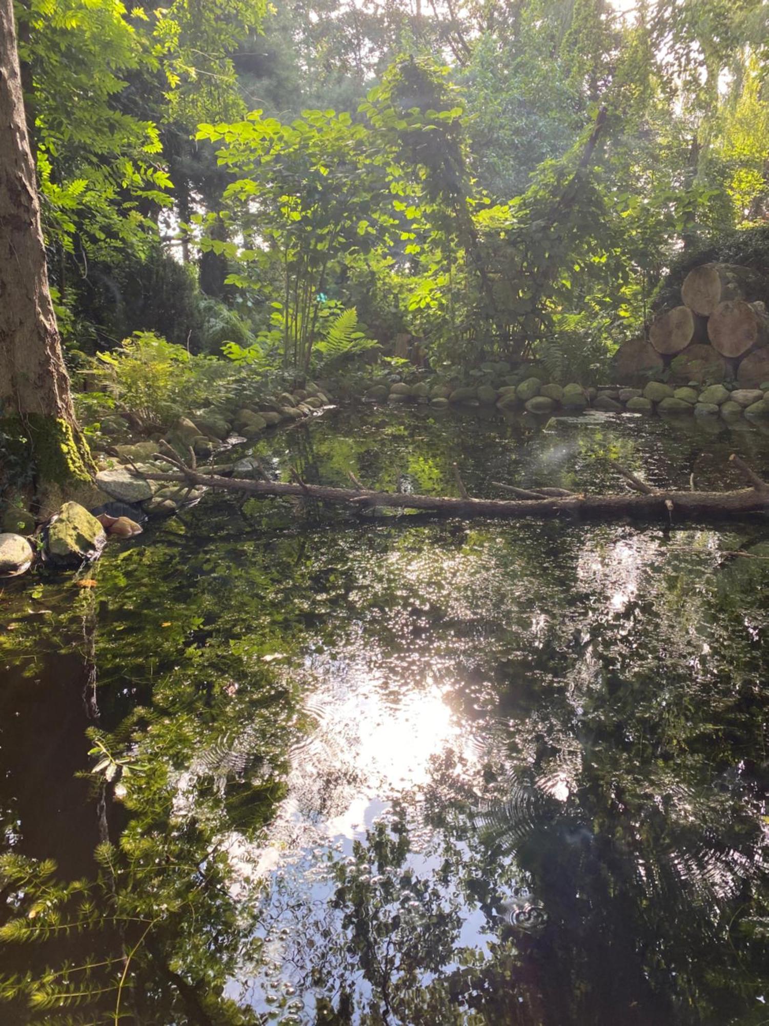 Ferienwohnung Auf Einem Resthof Zentral Gelegen Mit Viel Natur Und Tieren Rendswuhren Экстерьер фото