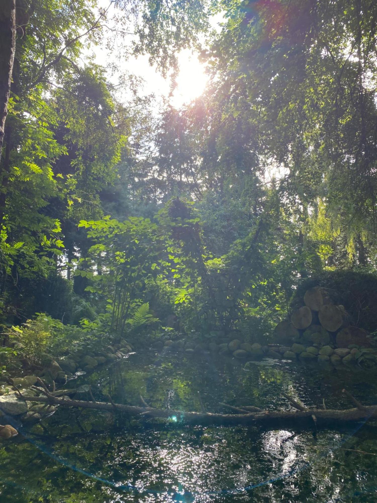 Ferienwohnung Auf Einem Resthof Zentral Gelegen Mit Viel Natur Und Tieren Rendswuhren Экстерьер фото